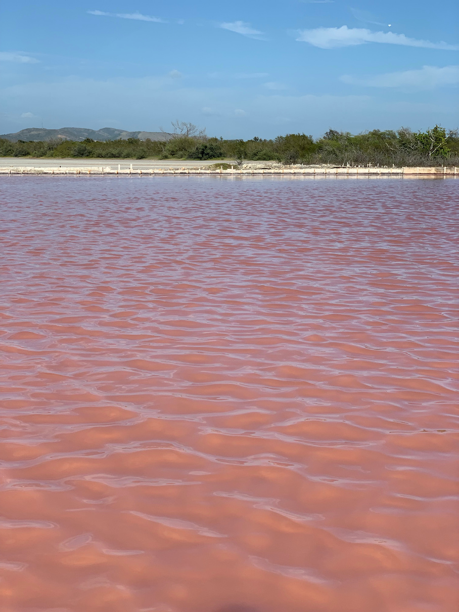 Pink salt water in Puerto Rico